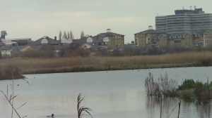 London wetland Centre
