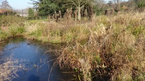 Well Hall Pleasaunce