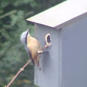 ???????????????????????????????