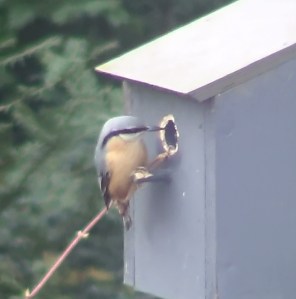 ???????????????????????????????