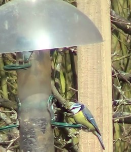 ???????????????????????????????