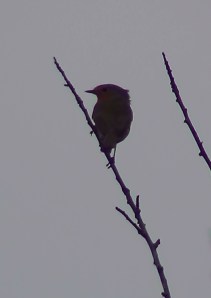 ???????????????????????????????