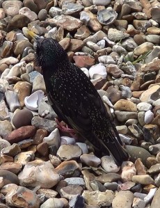 ???????????????????????????????