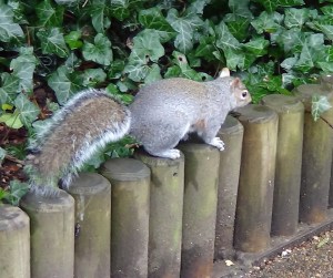 ???????????????????????????????