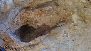 Oven for cooking Food