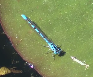 ???????????????????????????????