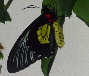 ???????????????????????????????