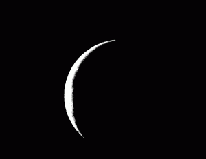Moon1
