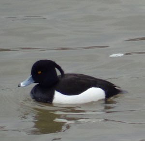 ???????????????????????????????