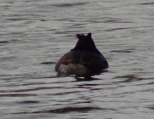 ???????????????????????????????