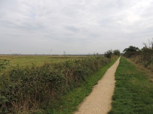 RSPB Otmoor Photo by Sue
