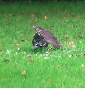 ???????????????????????????????