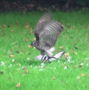 ???????????????????????????????