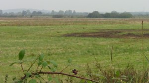 RSPB Otmoor