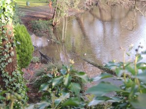Tarn overflowing onto surrounding paths