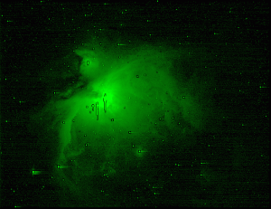 Green filtered image