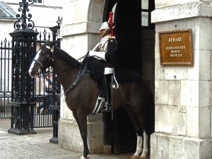 Mounted guard from Blues and Royals