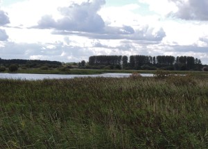 Island Mere