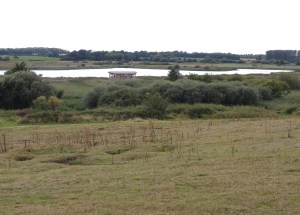 Looking from Winn Hill over Island Mere