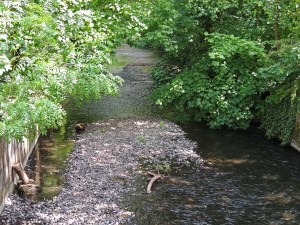 River Crane in Crane Park
