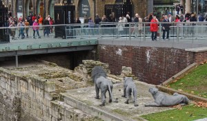 The site of the Lion Tower outside of the moat