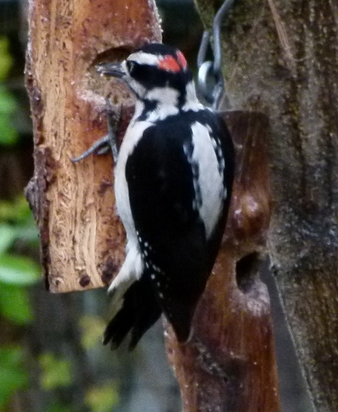 HAWO-DRILL2 (1280x960)