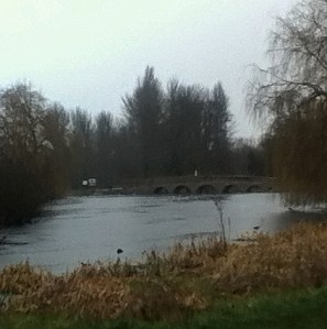 R.Cray @ Footscray Meadows approaching 5 Arch Bridge