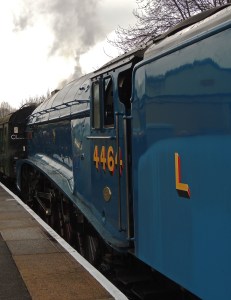 4464 Bittern at Alton