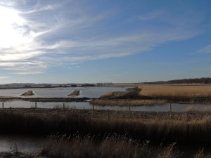 Marsh and Mud-flats