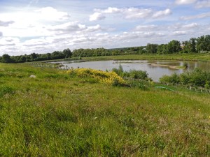 Overcombe Pools Lodmoor RSPB reserve
