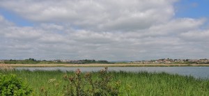 Radipole RSPB reserve