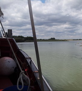 Entering the river from Otterham Creek