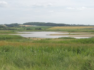Cley Marshes