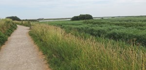 Titchwell Marsh