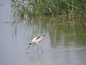 DSCN8439
