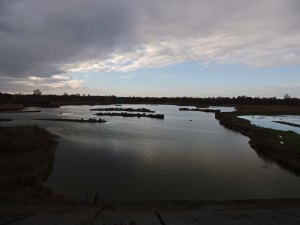 Flooded grazing Marsh
