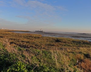 Saltmarsh at abbot's Court