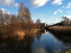 Greenwich Peninsular Ecology Park