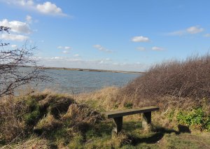 RSPB Cliffe