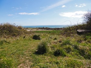 Verne Common
