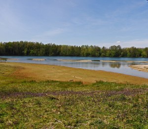 Sevenoaks KWT reserve