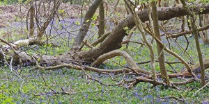 DSCN1382a