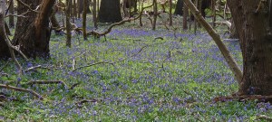 DSCN1383a