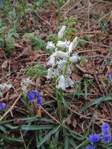 DSCN1432a