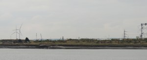 Swanscombe Marshes
