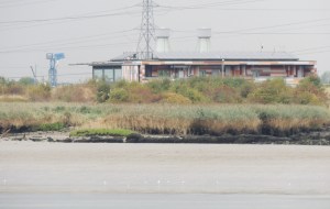 RSPB reserve centre at Rainham Marshes
