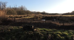 View from reserve centre