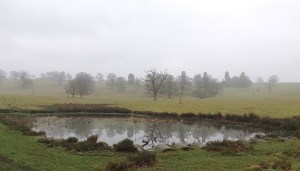 Parkland surrounding Launde Abbey