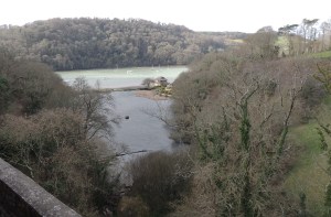Emerging beside the River Dart
