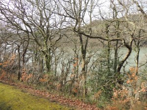 Running alongside the River Dart